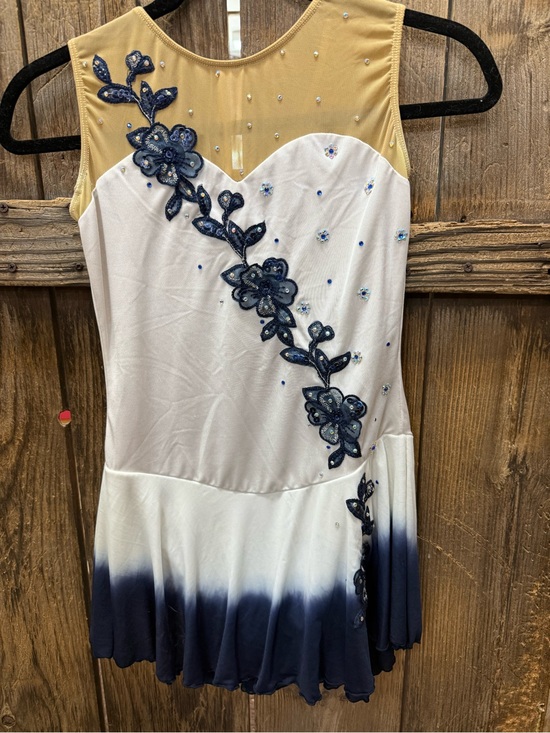 Figure Skating Dress Dresses & Skirts - Ice Fairy Figure Skating Dress With Flower Embroidery